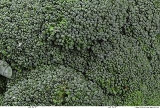 Photo Textures of Broccoli